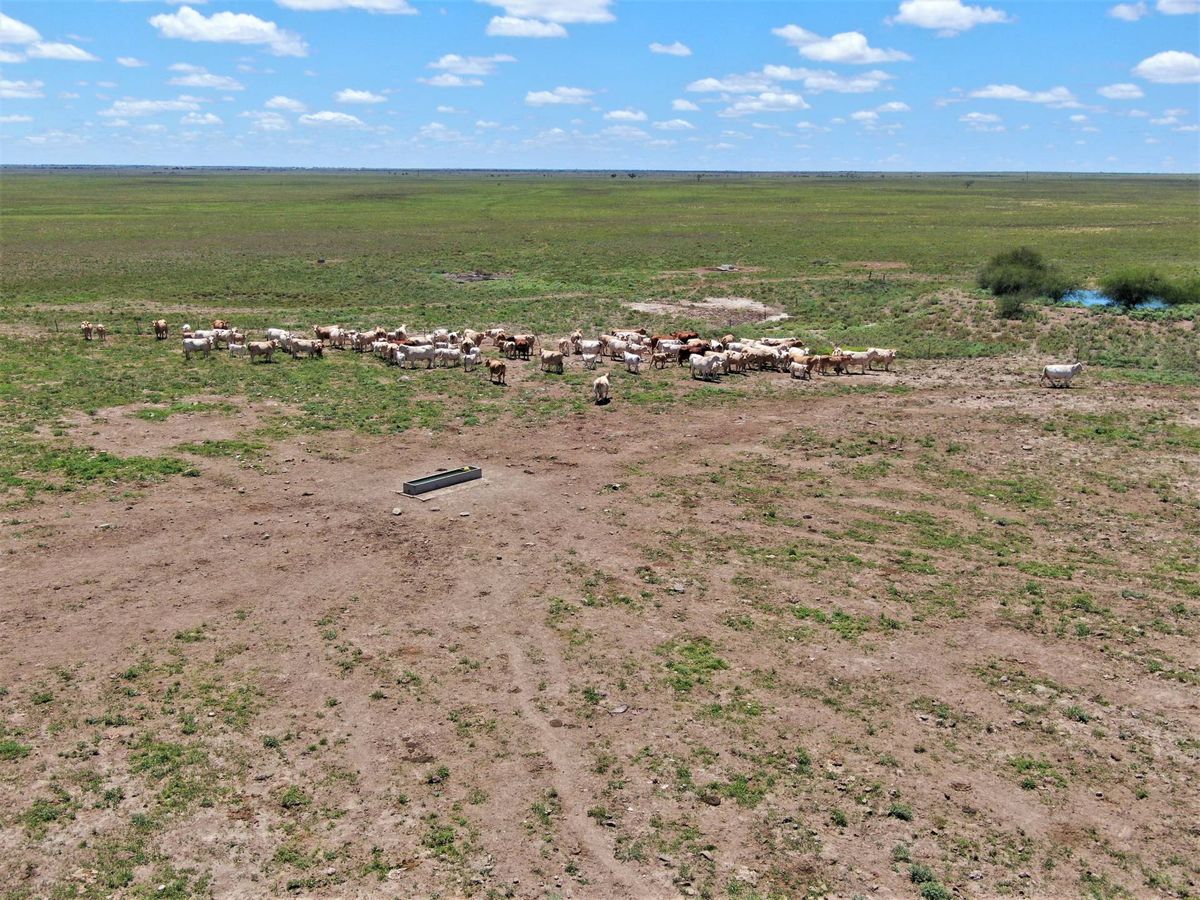 Addarea Winton Brodie Agencies Addarea Winton Brodie Agencies