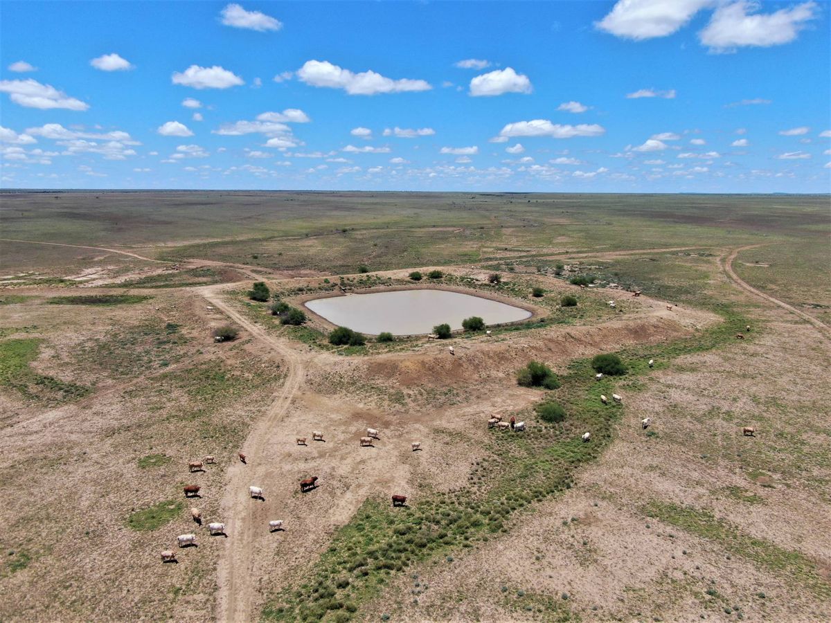 Addarea Winton Brodie Agencies Addarea Winton Brodie Agencies