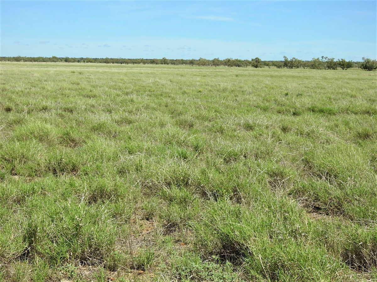 Addarea Winton Brodie Agencies Addarea Winton Brodie Agencies