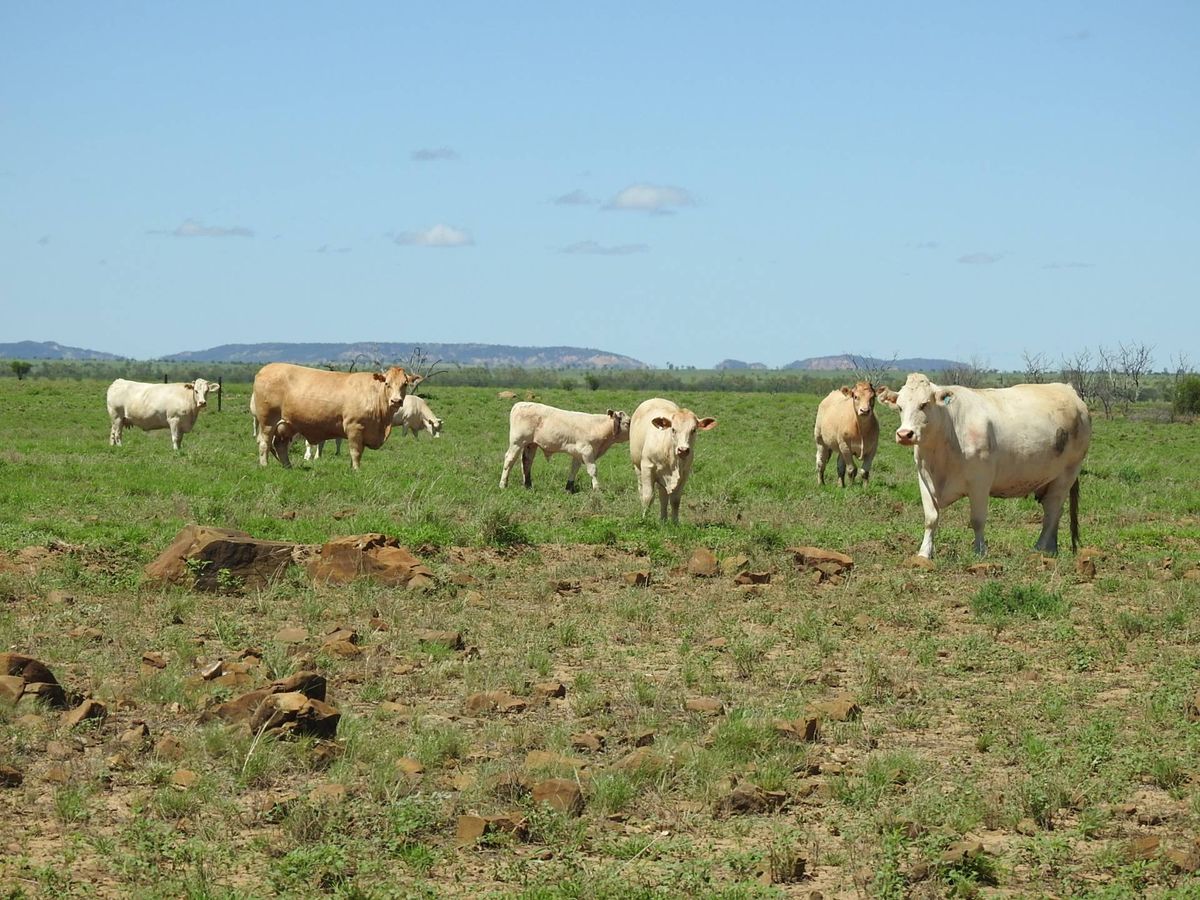 Addarea Winton Brodie Agencies Addarea Winton Brodie Agencies