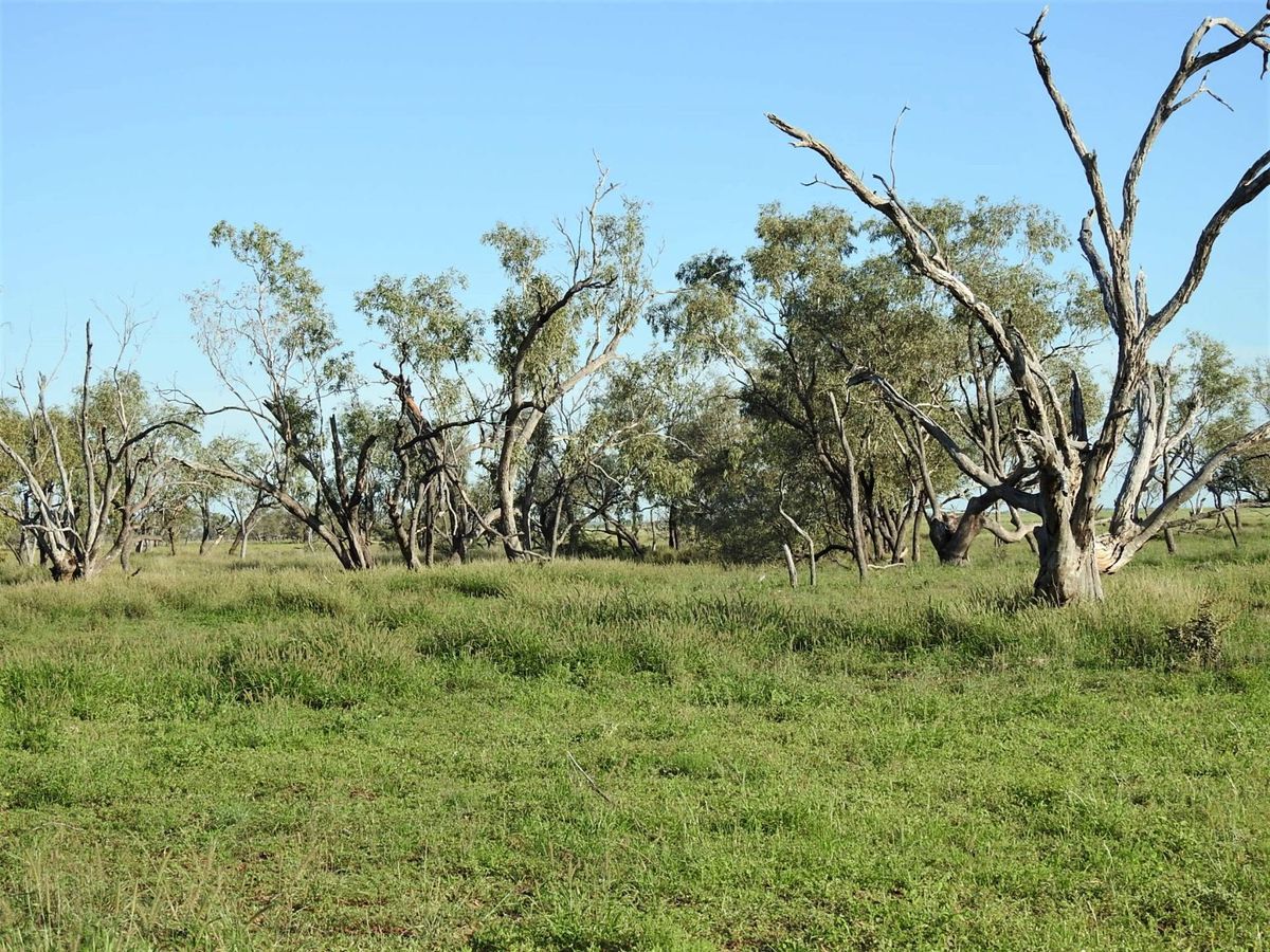 Addarea Winton Brodie Agencies Addarea Winton Brodie Agencies