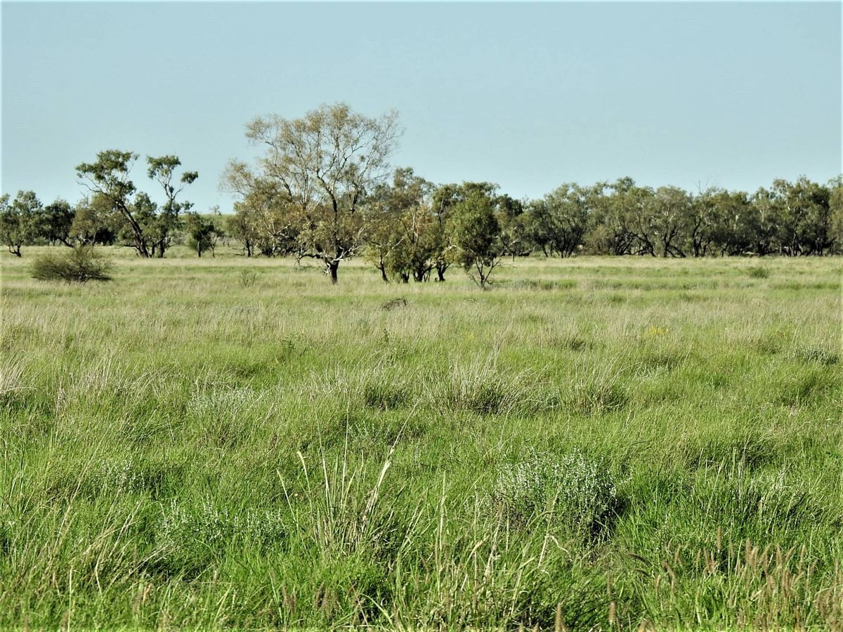 Addarea Winton Brodie Agencies Addarea Winton Brodie Agencies